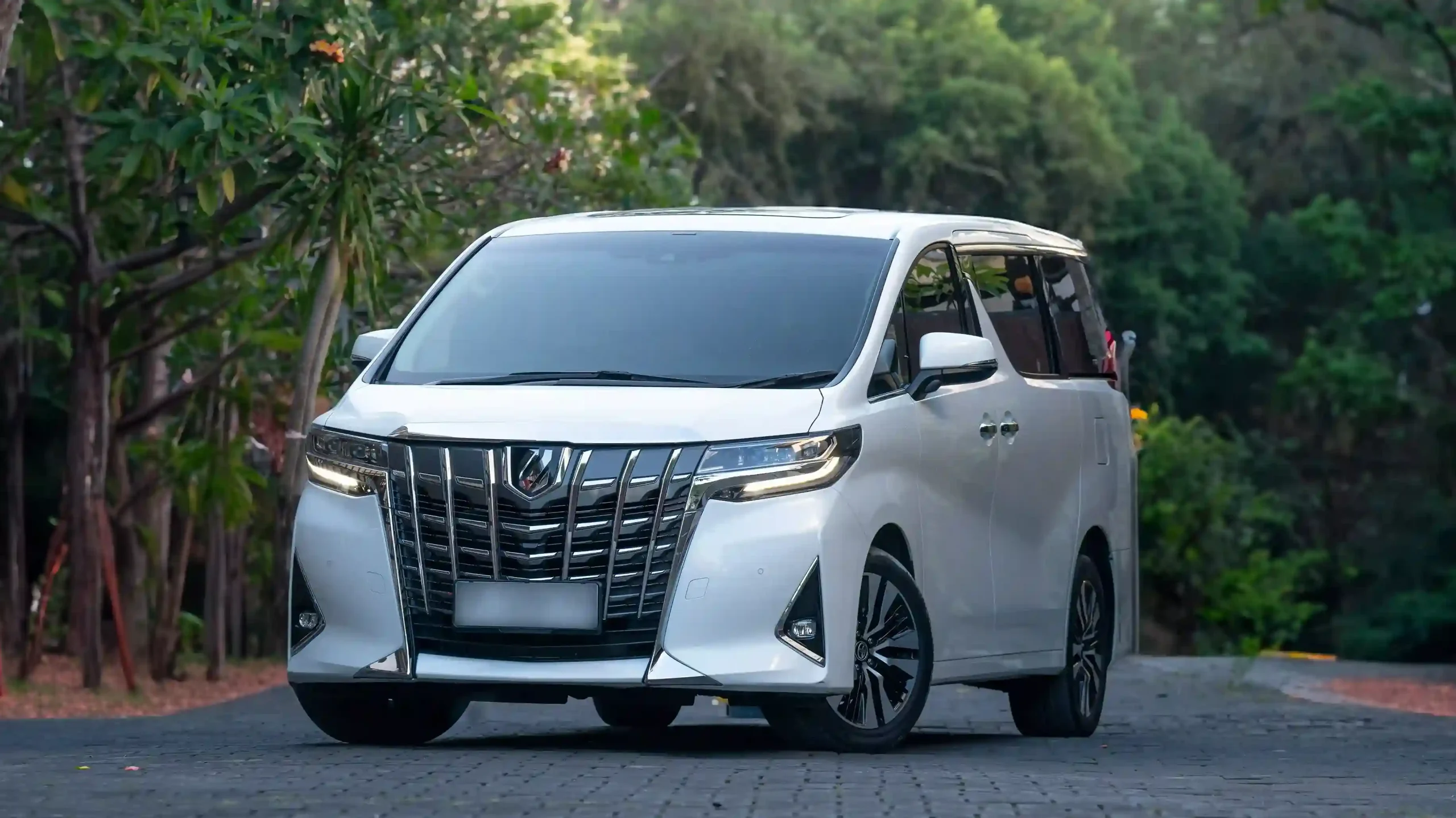 白色 Toyota Alphard