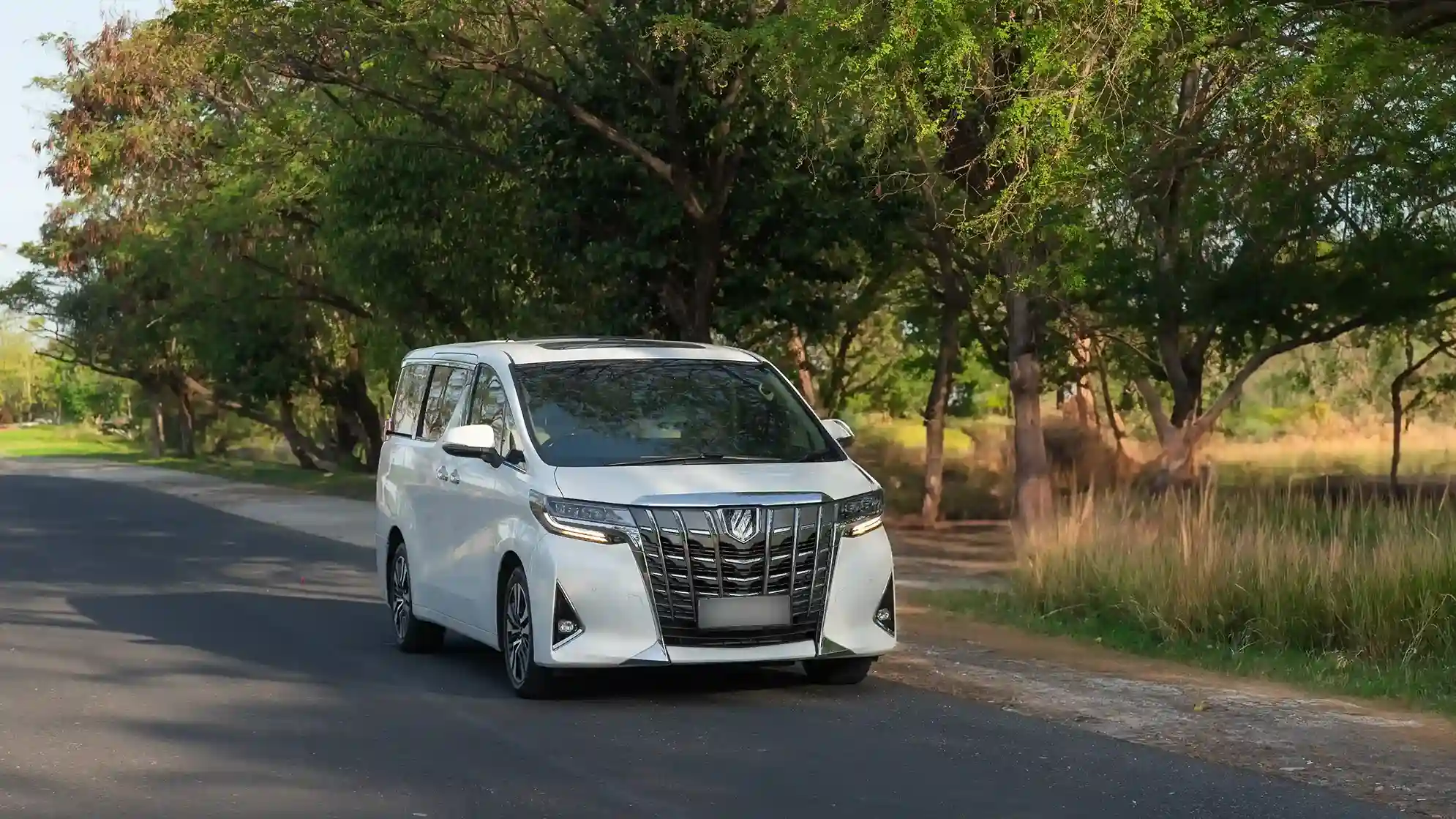 白色 Toyota Alphard